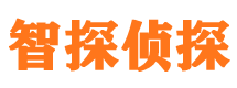 铜官山市私家侦探